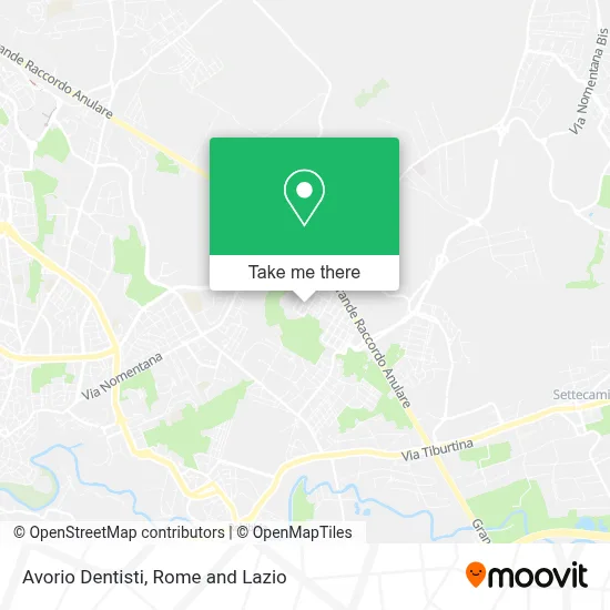 Avorio Dentisti map