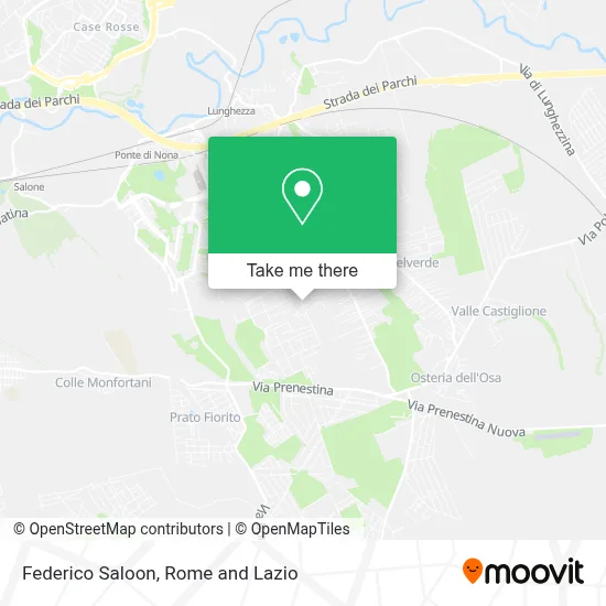 Federico Saloon map