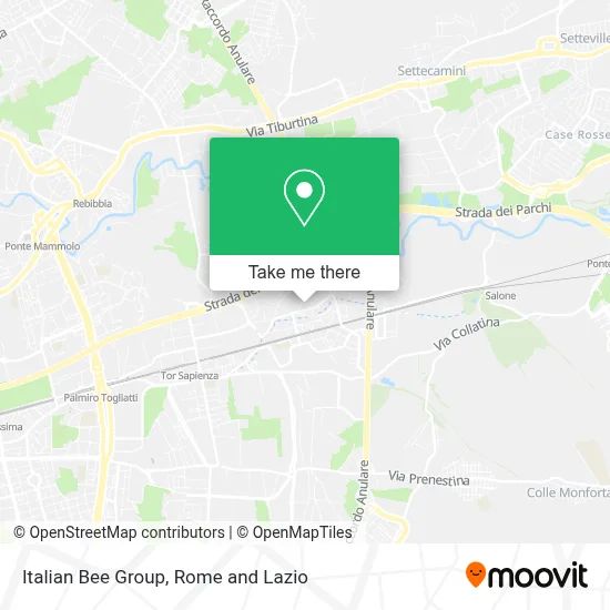 Italian Bee Group map