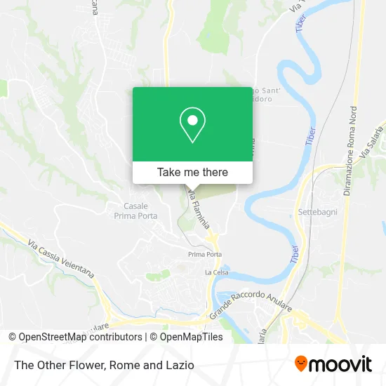 The Other Flower map