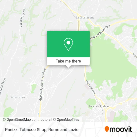 Panizzi Tobacco Shop map