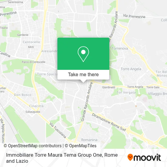 Immobiliare Torre Maura Tema Group One map