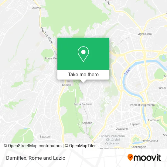 Damiflex map