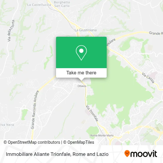 Immobiliare Aliante Trionfale map