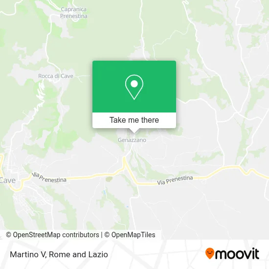 Martino V map