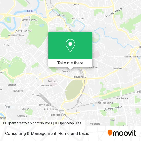 Consulting & Management map