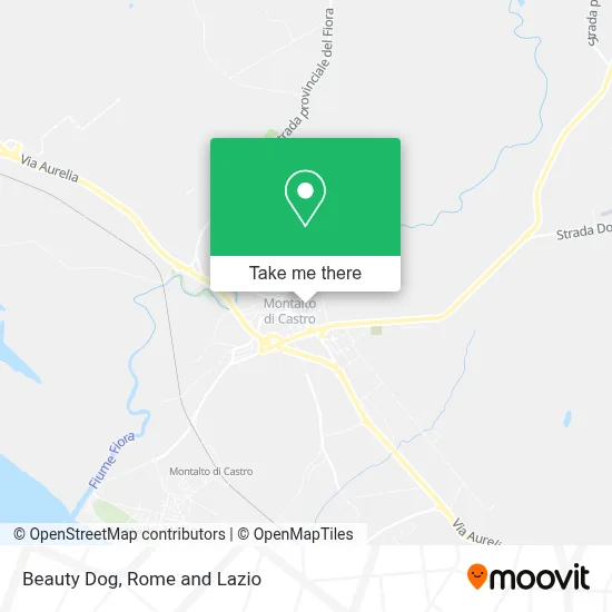 Beauty Dog map