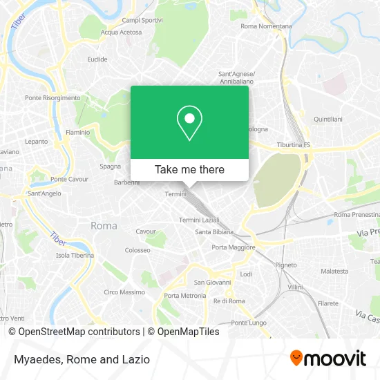 Myaedes map