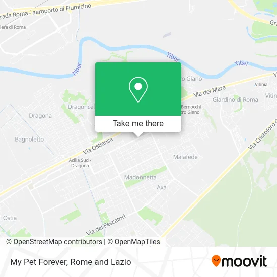 My Pet Forever map