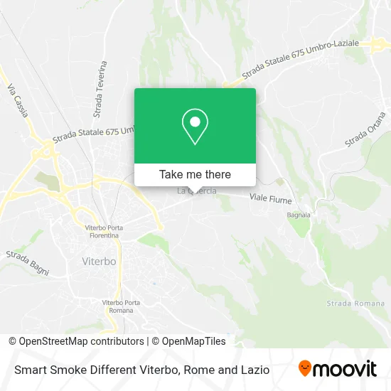 Smart Smoke Different Viterbo map