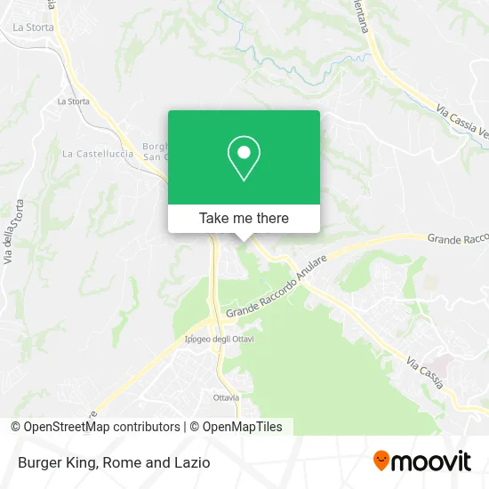 Burger King map