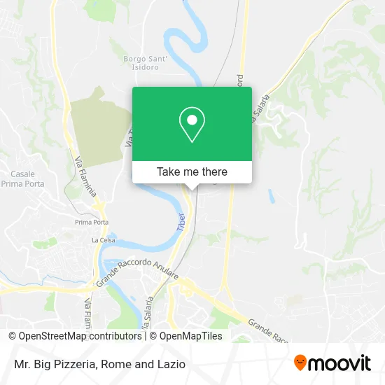 Mr. Big Pizzeria map