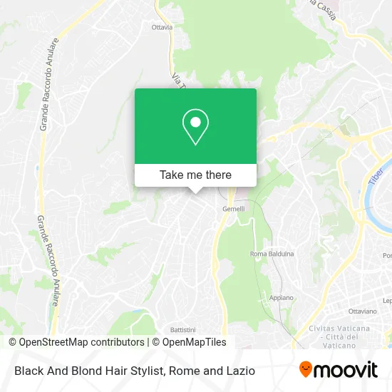 Black And Blond Hair Stylist map