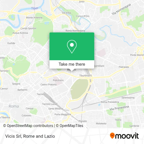 Vicis Srl map