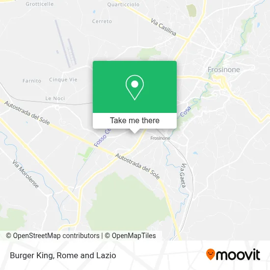 Burger King map