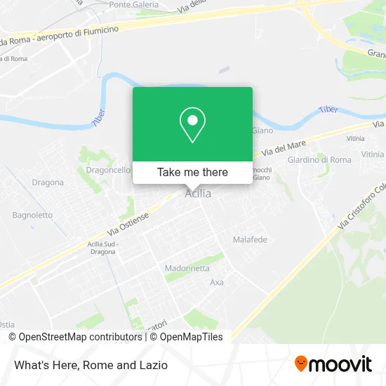 What's Here map