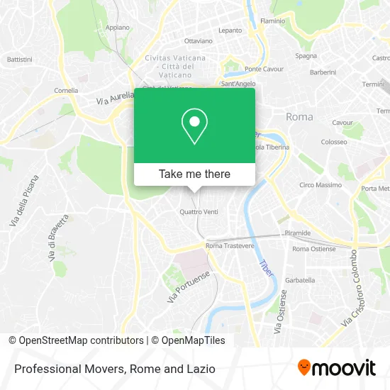 Professional Movers map