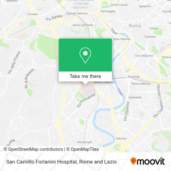 San Camillo Forlanini Hospital map
