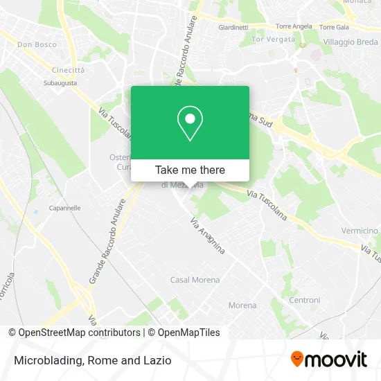 Microblading map