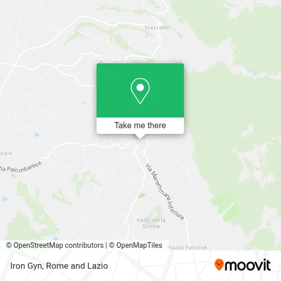 Iron Gyn map