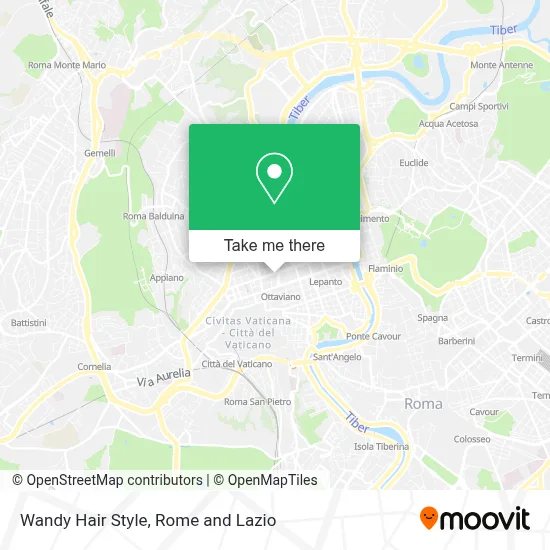 Wandy Hair Style map