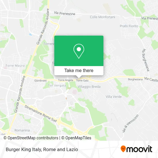 Burger King Italy map