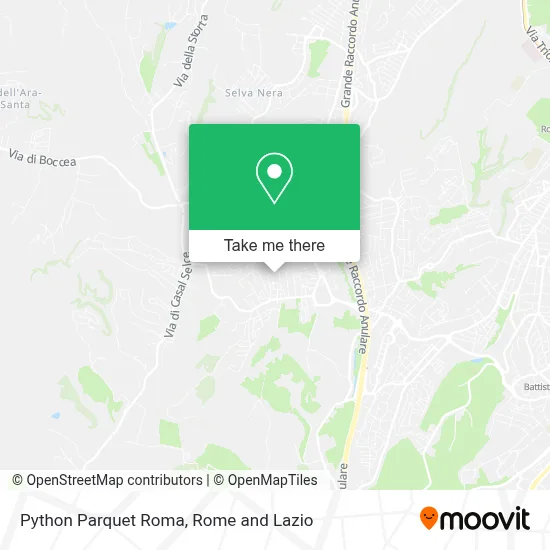 Python Parquet Roma map
