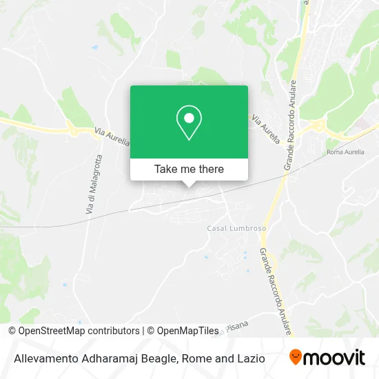 Allevamento Adharamaj Beagle map