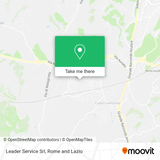 Leader Service Srl map