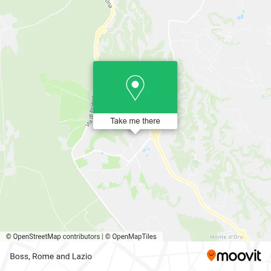Boss map