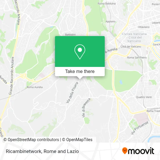 Ricambinetwork map