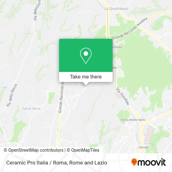 Ceramic Pro Italia / Roma map