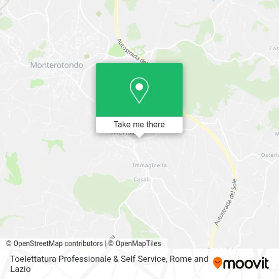 Toelettatura Professionale & Self Service map