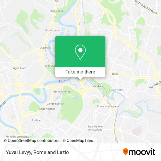 Yuval Levyy map