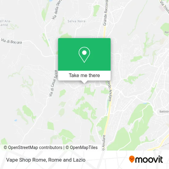 Vape Shop Rome map