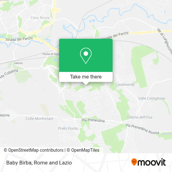 Baby Birba map