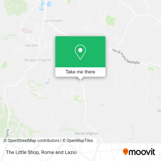 The Little Shop map