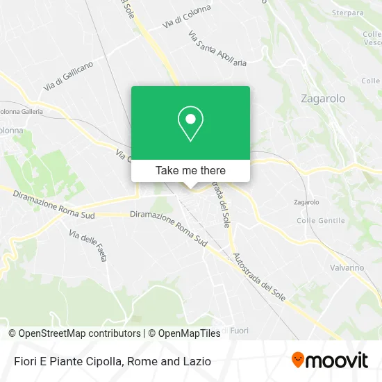 Fiori E Piante Cipolla map