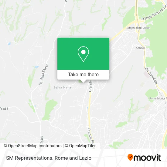 SM Representations map