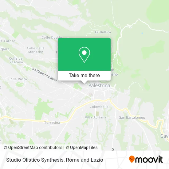 Studio Olistico Synthesis map