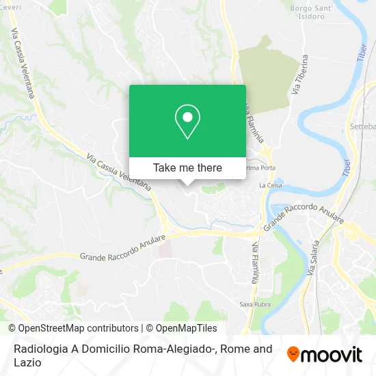 Radiologia A Domicilio Roma-Alegiado- map