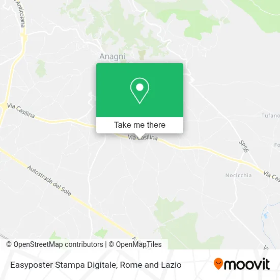 Easyposter Stampa Digitale map