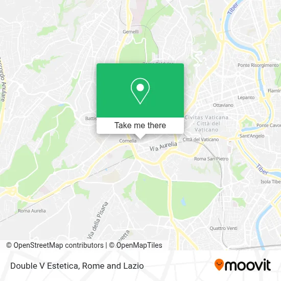 Double V Estetica map