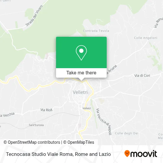 Tecnocasa Studio Viale Roma map