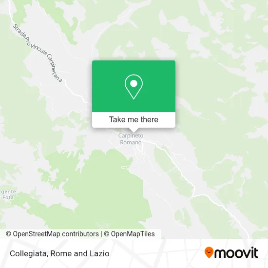 Collegiata map