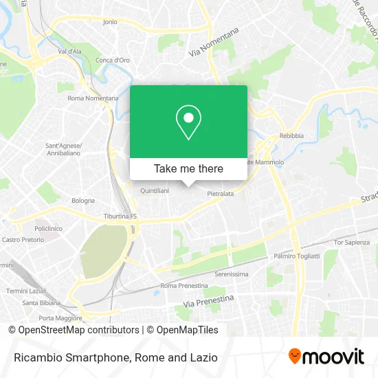 Ricambio Smartphone map