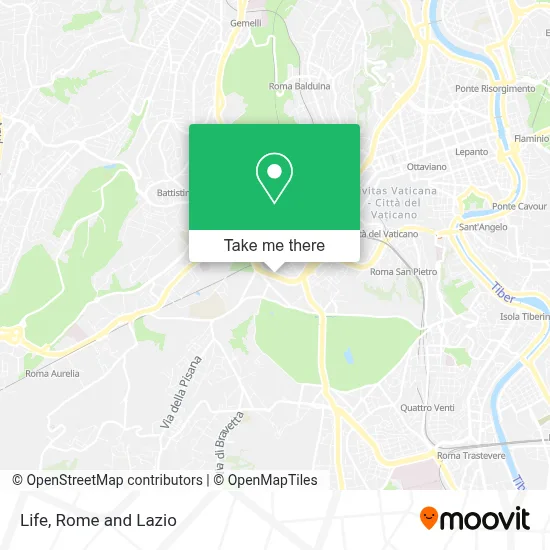 Life map