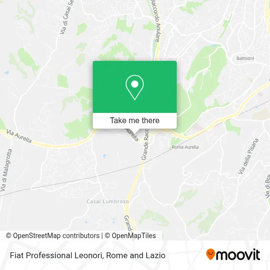 Fiat Professional Leonori map