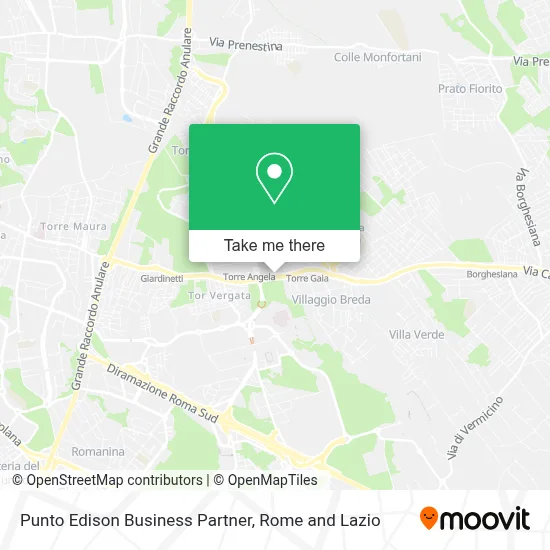 Punto Edison Business Partner map
