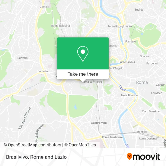 Brasilvivo map